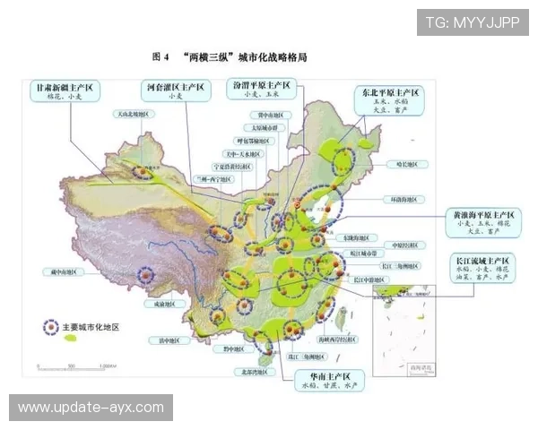 NBA球队青训教练职业发展路径更加明确化