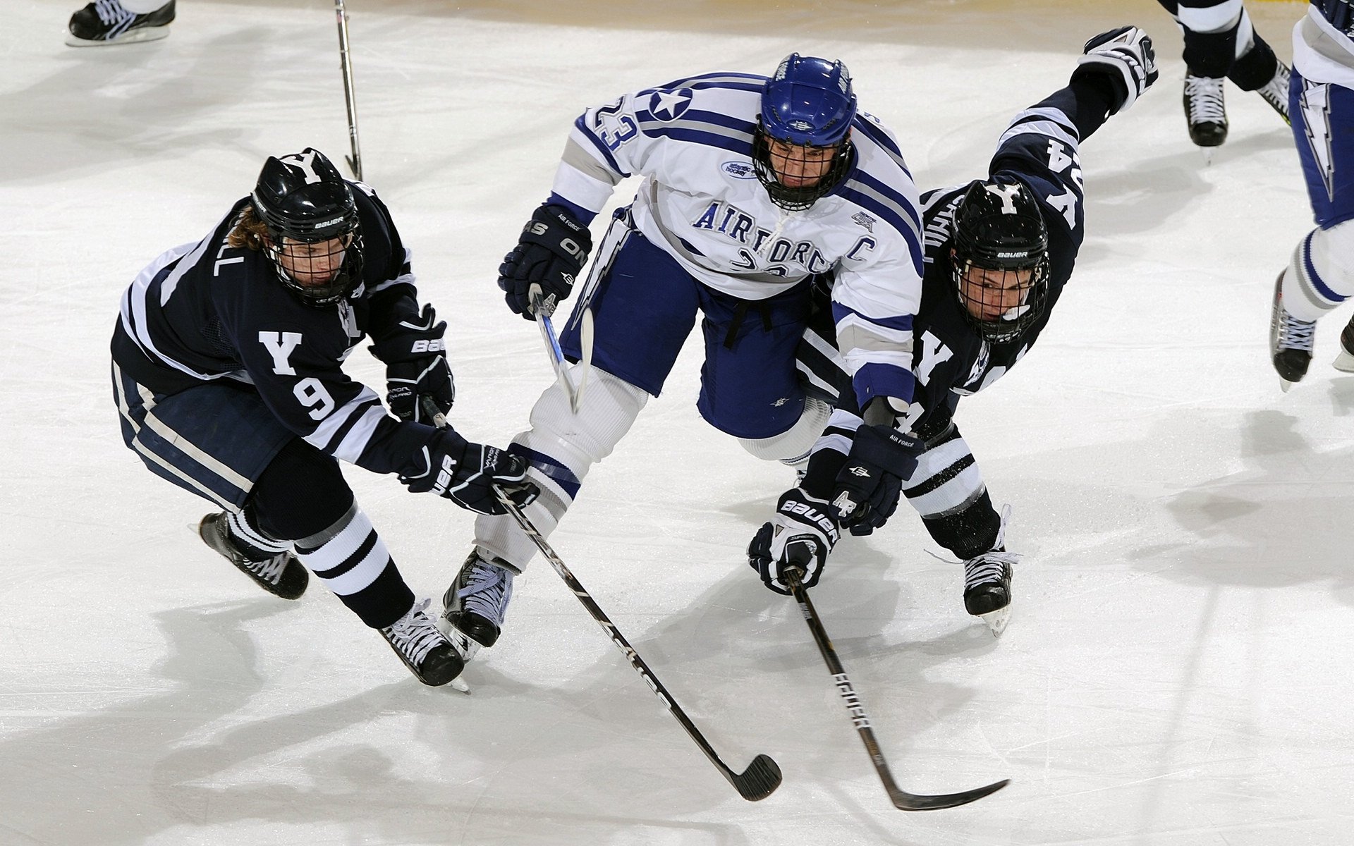 世界杯：摄影展聚焦“普通球迷的表情” 收录数百张精彩瞬间